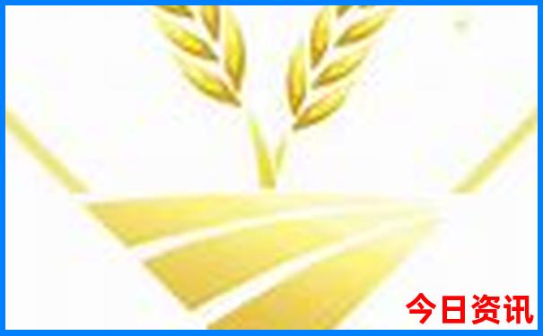 8月初适合去哪里玩国内