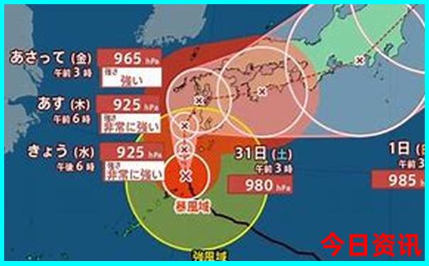 湖北省博物馆附近有什么好玩的