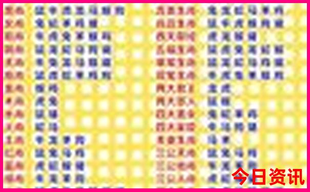 中国体育彩票开奖公告